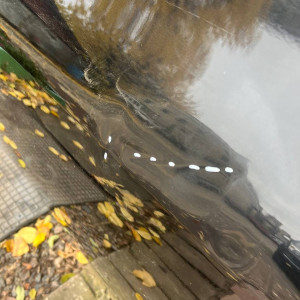 Дверь передняя правая Toyota Auris (2006-2012) 6700102260 *дефект