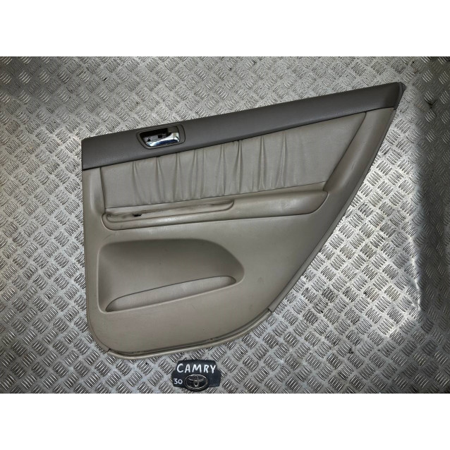 Карта двери Toyota Camry 30 (2001-2006) 67610AA422E0 