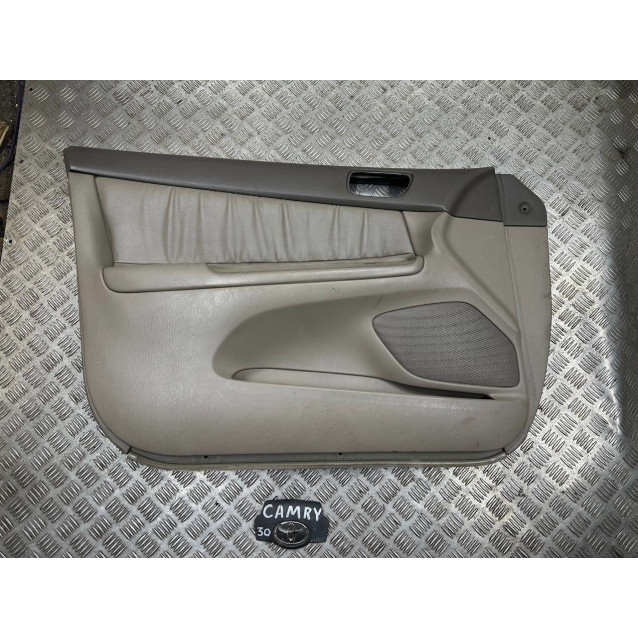 Карта двери Toyota Camry 30 (2001-2006) 67610AA422E0 