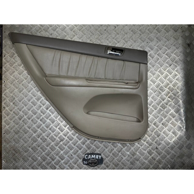 Карта двери Toyota Camry 30 (2001-2006) 67610AA422E0 
