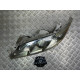 Фара левая Toyota Camry 40 (2006-2011) 8115006201 *дефект крепления