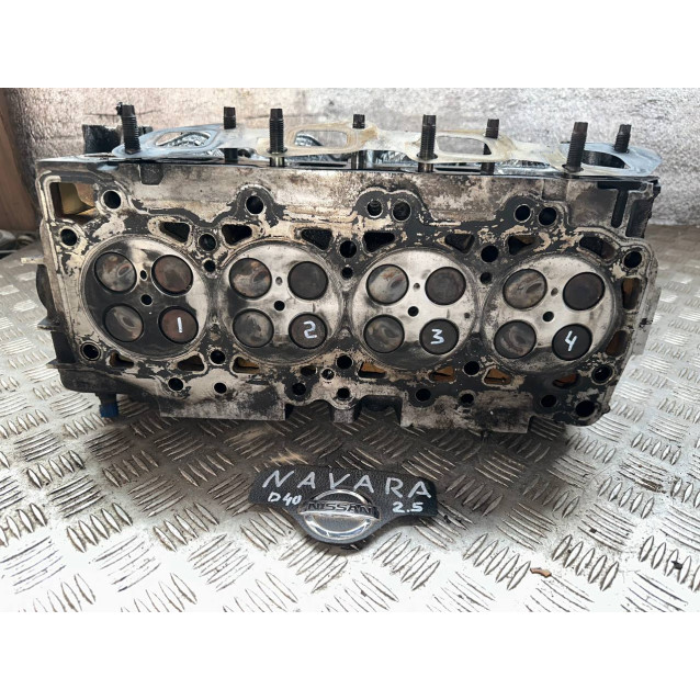 Головка блока цилиндров ГБЦ Nissan Navara D40 / Pathfinder R51 2.5 dCi OE 11039-EC00A