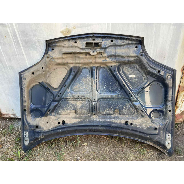 Капот Nissan X-Trail T30 (2000-2006) F51008H3MM